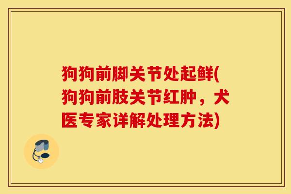 狗狗前脚关节处起鲜(狗狗前肢关节红肿,犬医专家详解处理方法) 狗狗前脚关节处起鲜(狗狗前肢关节红肿,犬医专家详解处理方法)
