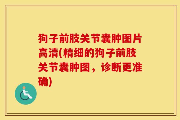 狗子前肢关节囊肿图片高清(精细的狗子前肢关节囊肿图,诊断更准确) 狗子前肢关节囊肿图片高清(精细的狗子前肢关节囊肿图,诊断更准确)