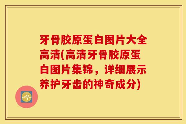 牙骨胶原蛋白图片大全高清(高清牙骨胶原蛋白图片集锦,详细展示养护牙齿的神奇成分) 牙骨胶原蛋白图片大全高清(高清牙骨胶原蛋白图片集锦,详细展示养护牙齿的神奇成分)