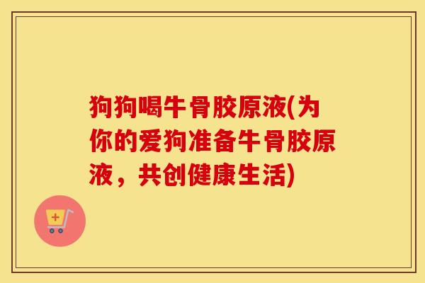 狗狗喝牛骨胶原液(为你的爱狗准备牛骨胶原液,共创健康生活) 狗狗喝牛骨胶原液(为你的爱狗准备牛骨胶原液,共创健康生活)