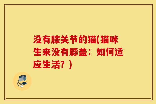没有膝关节的猫(猫咪生来没有膝盖:如何适应生活?) 没有膝关节的猫(猫咪生来没有膝盖:如何适应生活?)