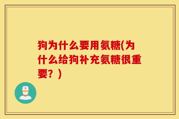 狗为什么要用氨糖(为什么给狗补充氨糖很重要？)