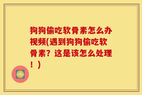 狗狗偷吃软骨素怎么办视频(遇到狗狗偷吃软骨素?这是该怎么处理!) 狗狗偷吃软骨素怎么办视频(遇到狗狗偷吃软骨素?这是该怎么处理!)