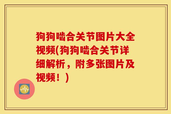 狗狗啮合关节图片大全视频(狗狗啮合关节详细解析,附多张图片及视频!) 狗狗啮合关节图片大全视频(狗狗啮合关节详细解析,附多张图片及视频!)