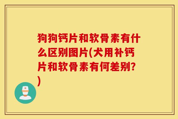 狗狗钙片和软骨素有什么区别图片(犬用补钙片和软骨素有何差别?) 狗狗钙片和软骨素有什么区别图片(犬用补钙片和软骨素有何差别?)