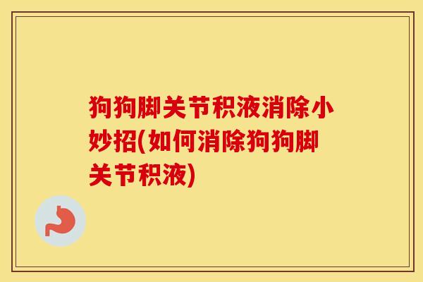 狗狗脚关节积液消除小妙招(如何消除狗狗脚关节积液) 狗狗脚关节积液消除小妙招(如何消除狗狗脚关节积液)