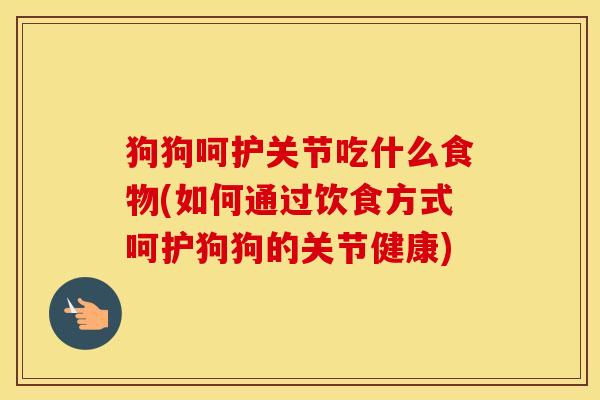 狗狗呵护关节吃什么食物(如何通过饮食方式呵护狗狗的关节健康) 狗狗呵护关节吃什么食物(如何通过饮食方式呵护狗狗的关节健康)