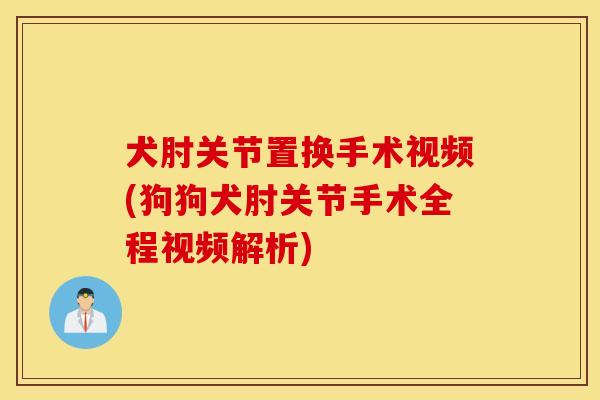 犬肘关节置换手术视频(狗狗犬肘关节手术全程视频解析) 犬肘关节置换手术视频(狗狗犬肘关节手术全程视频解析)