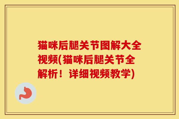 猫咪后腿关节图解大全视频(猫咪后腿关节全解析！详细视频教学)