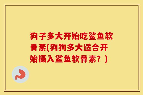 狗子多大开始吃鲨鱼软骨素(狗狗多大适合开始摄入鲨鱼软骨素?) 狗子多大开始吃鲨鱼软骨素(狗狗多大适合开始摄入鲨鱼软骨素?)