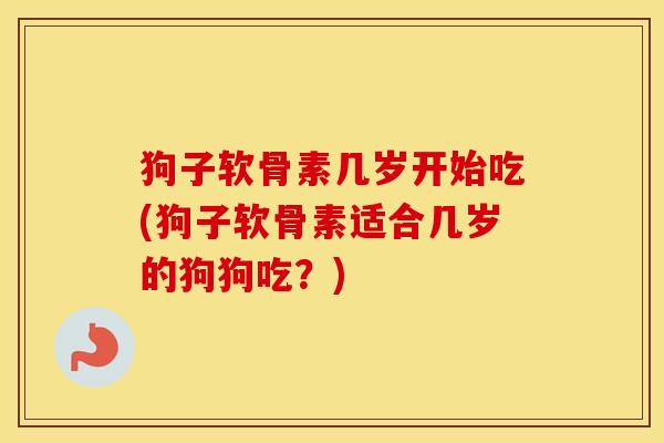 狗子软骨素几岁开始吃(狗子软骨素适合几岁的狗狗吃?) 狗子软骨素几岁开始吃(狗子软骨素适合几岁的狗狗吃?)