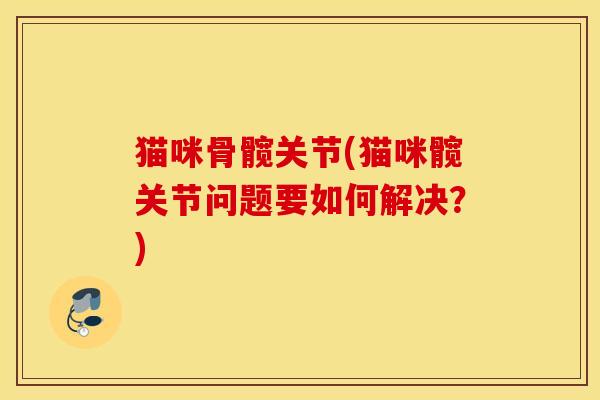 猫咪骨髋关节(猫咪髋关节问题要如何解决？)
