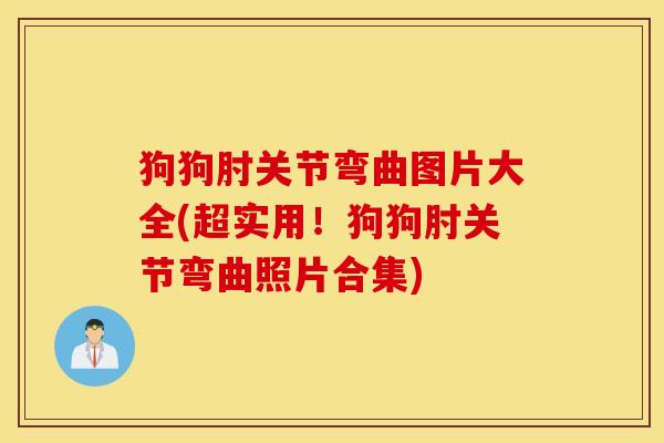 狗狗肘关节弯曲图片大全(超实用!狗狗肘关节弯曲照片合集) 狗狗肘关节弯曲图片大全(超实用!狗狗肘关节弯曲照片合集)