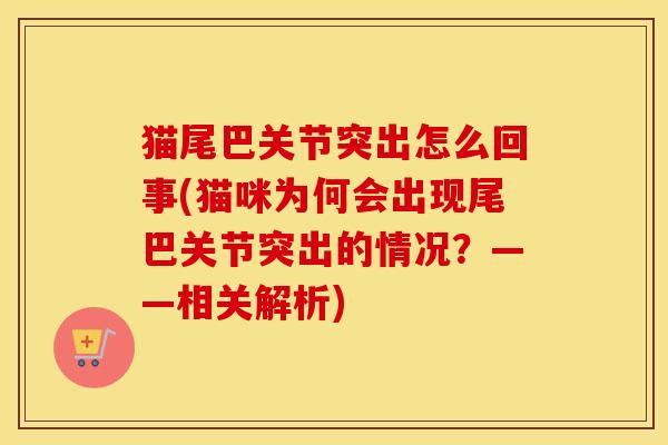 猫尾巴关节突出怎么回事(猫咪为何会出现尾巴关节突出的情况?——相关解析) 猫尾巴关节突出怎么回事(猫咪为何会出现尾巴关节突出的情况?——相关解析)