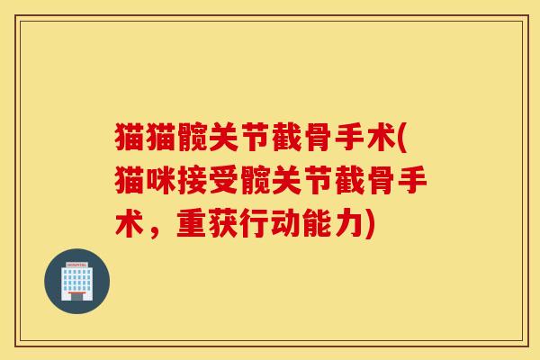 猫猫髋关节截骨手术(猫咪接受髋关节截骨手术，重获行动能力)