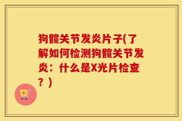 狗髋关节发炎片子(了解如何检测狗髋关节发炎:什么是X光片检查?) 狗髋关节发炎片子(了解如何检测狗髋关节发炎:什么是X光片检查?)