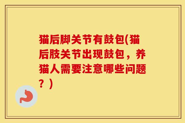 猫后脚关节有鼓包(猫后肢关节出现鼓包,养猫人需要注意哪些问题?) 猫后脚关节有鼓包(猫后肢关节出现鼓包,养猫人需要注意哪些问题?)