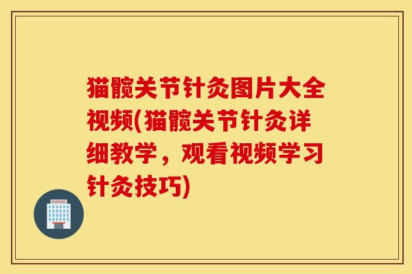 猫髋关节针灸图片大全视频(猫髋关节针灸详细教学,观看视频学习针灸技巧) 猫髋关节针灸图片大全视频(猫髋关节针灸详细教学,观看视频学习针灸技巧)