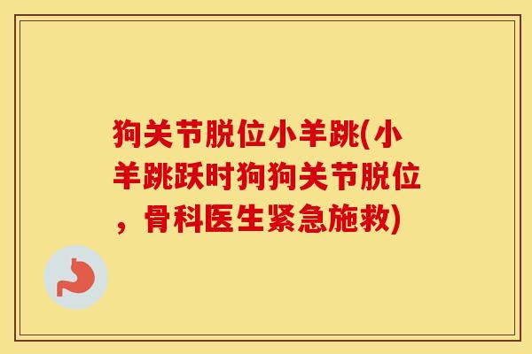 狗关节脱位小羊跳(小羊跳跃时狗狗关节脱位,骨科医生紧急施救) 狗关节脱位小羊跳(小羊跳跃时狗狗关节脱位,骨科医生紧急施救)