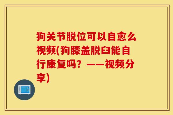 狗关节脱位可以自愈么视频(狗膝盖脱臼能自行康复吗?——视频分享) 狗关节脱位可以自愈么视频(狗膝盖脱臼能自行康复吗?——视频分享)