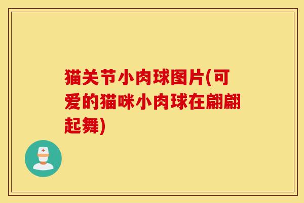 猫关节小肉球图片(可爱的猫咪小肉球在翩翩起舞) 猫关节小肉球图片(可爱的猫咪小肉球在翩翩起舞)