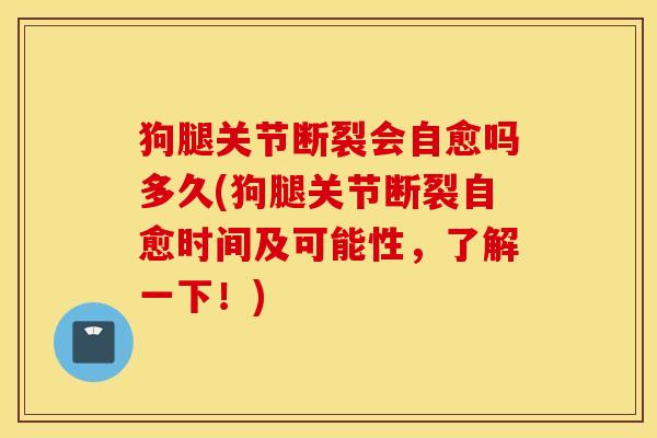 狗腿关节断裂会自愈吗多久(狗腿关节断裂自愈时间及可能性,了解一下!) 狗腿关节断裂会自愈吗多久(狗腿关节断裂自愈时间及可能性,了解一下!)