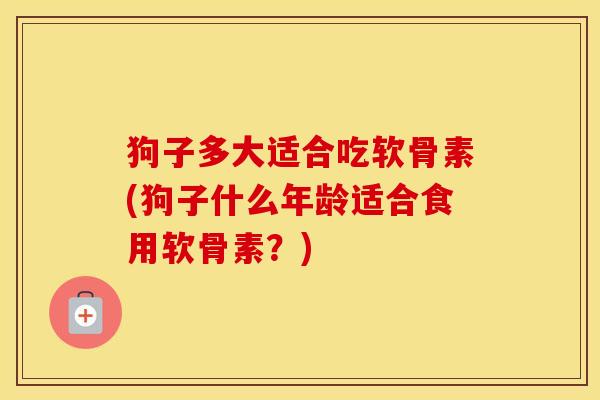 狗子多大适合吃软骨素(狗子什么年龄适合食用软骨素？)