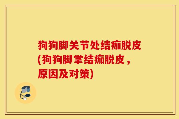 狗狗脚关节处结痂脱皮(狗狗脚掌结痂脱皮,原因及对策) 狗狗脚关节处结痂脱皮(狗狗脚掌结痂脱皮,原因及对策)