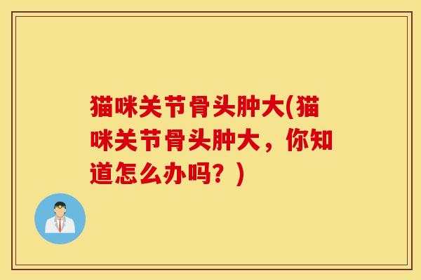 猫咪关节骨头肿大(猫咪关节骨头肿大，你知道怎么办吗？)