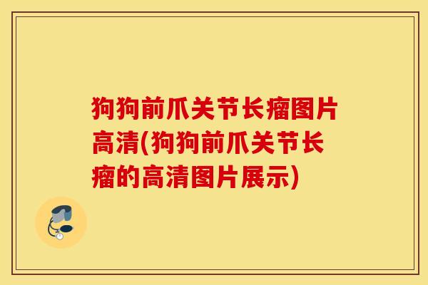 狗狗前爪关节长瘤图片高清(狗狗前爪关节长瘤的高清图片展示) 狗狗前爪关节长瘤图片高清(狗狗前爪关节长瘤的高清图片展示)