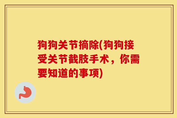 狗狗关节摘除(狗狗接受关节截肢手术,你需要知道的事项) 狗狗关节摘除(狗狗接受关节截肢手术,你需要知道的事项)