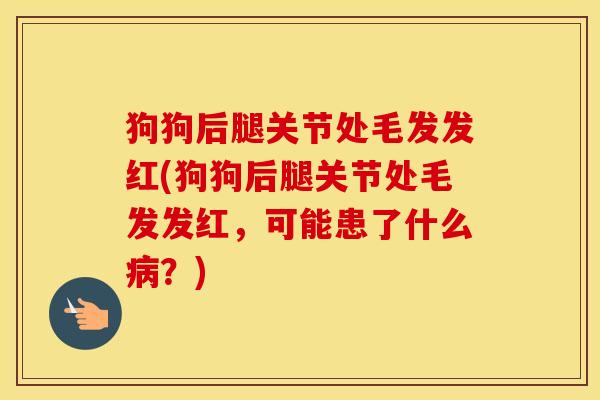 狗狗后腿关节处毛发发红(狗狗后腿关节处毛发发红,可能患了什么?) 狗狗后腿关节处毛发发红(狗狗后腿关节处毛发发红,可能患了什么?)