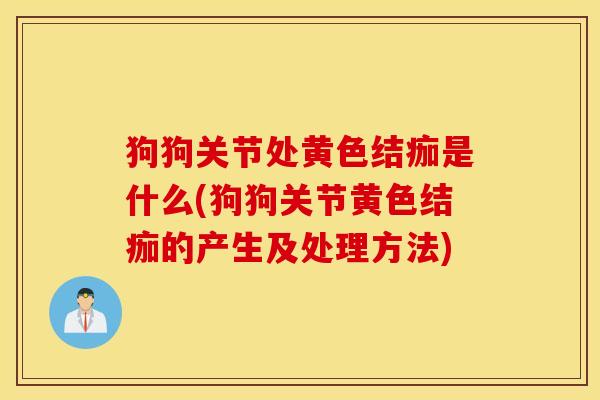 狗狗关节处黄色结痂是什么(狗狗关节黄色结痂的产生及处理方法) 狗狗关节处黄色结痂是什么(狗狗关节黄色结痂的产生及处理方法)