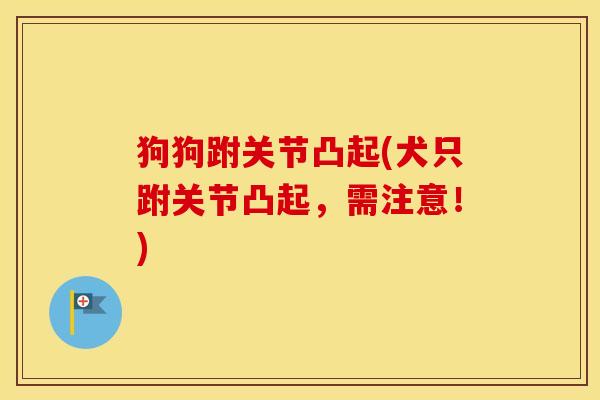 狗狗跗关节凸起(犬只跗关节凸起,需注意!) 狗狗跗关节凸起(犬只跗关节凸起,需注意!)