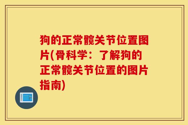 狗的正常髋关节位置图片(骨科学：了解狗的正常髋关节位置的图片指南)