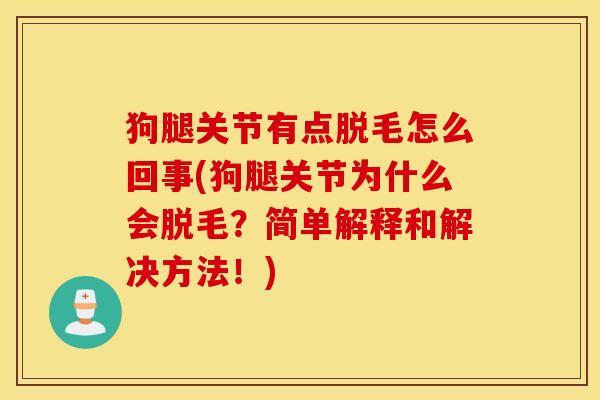 狗腿关节有点脱毛怎么回事(狗腿关节为什么会脱毛?简单解释和解决方法!) 狗腿关节有点脱毛怎么回事(狗腿关节为什么会脱毛?简单解释和解决方法!)