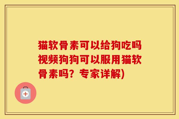 猫软骨素可以给狗吃吗视频狗狗可以服用猫软骨素吗？专家详解)