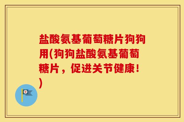 盐酸氨基葡萄糖片狗狗用(狗狗盐酸氨基葡萄糖片，促进关节健康！)