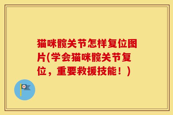 猫咪髋关节怎样复位图片(学会猫咪髋关节复位,重要救援技能!) 猫咪髋关节怎样复位图片(学会猫咪髋关节复位,重要救援技能!)
