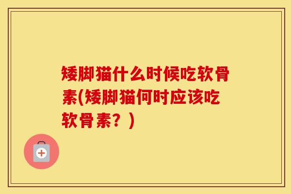 矮脚猫什么时候吃软骨素(矮脚猫何时应该吃软骨素?) 矮脚猫什么时候吃软骨素(矮脚猫何时应该吃软骨素?)