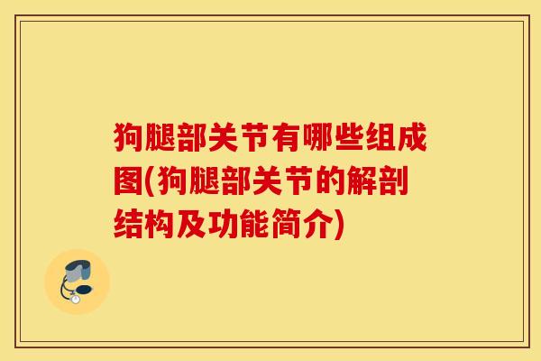 狗腿部关节有哪些组成图(狗腿部关节的解剖结构及功能简介) 狗腿部关节有哪些组成图(狗腿部关节的解剖结构及功能简介)