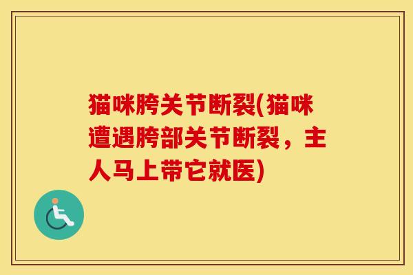 猫咪胯关节断裂(猫咪遭遇胯部关节断裂,主人马上带它就医) 猫咪胯关节断裂(猫咪遭遇胯部关节断裂,主人马上带它就医)