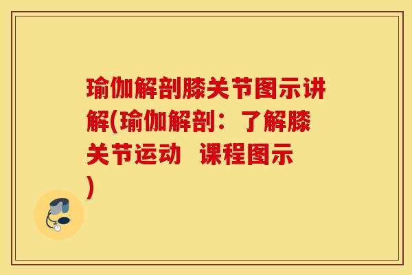 瑜伽解剖膝关节图示讲解(瑜伽解剖：了解膝关节运动  课程图示)