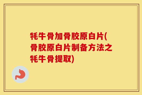 牦牛骨加骨胶原白片(骨胶原白片制备方法之牦牛骨提取) 牦牛骨加骨胶原白片(骨胶原白片制备方法之牦牛骨提取)