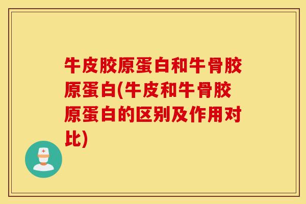 牛皮胶原蛋白和牛骨胶原蛋白(牛皮和牛骨胶原蛋白的区别及作用对比) 牛皮胶原蛋白和牛骨胶原蛋白(牛皮和牛骨胶原蛋白的区别及作用对比)