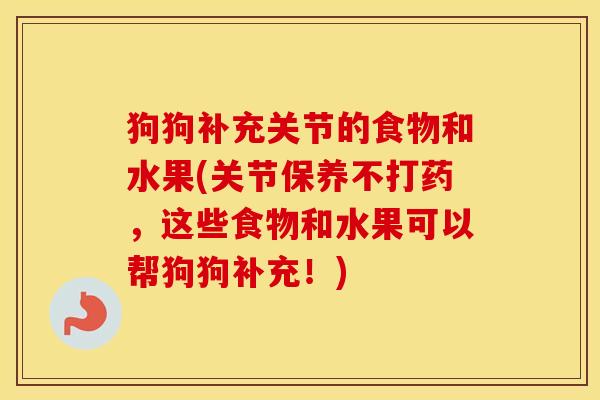 狗狗补充关节的食物和水果(关节保养不打药,这些食物和水果可以帮狗狗补充!) 狗狗补充关节的食物和水果(关节保养不打药,这些食物和水果可以帮狗狗补充!)