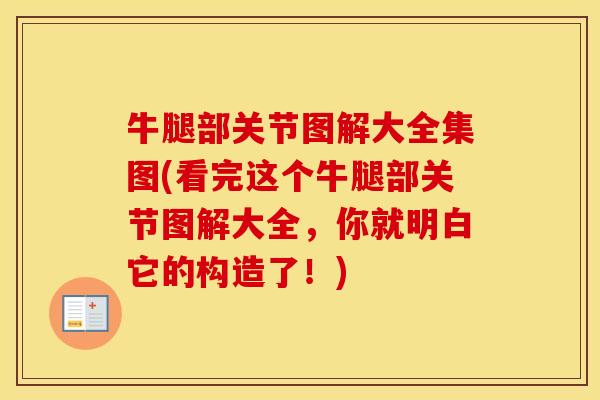 牛腿部关节图解大全集图(看完这个牛腿部关节图解大全,你就明白它的构造了!) 牛腿部关节图解大全集图(看完这个牛腿部关节图解大全,你就明白它的构造了!)