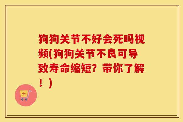 狗狗关节不好会死吗视频(狗狗关节不良可导致寿命缩短?带你了解!) 狗狗关节不好会死吗视频(狗狗关节不良可导致寿命缩短?带你了解!)