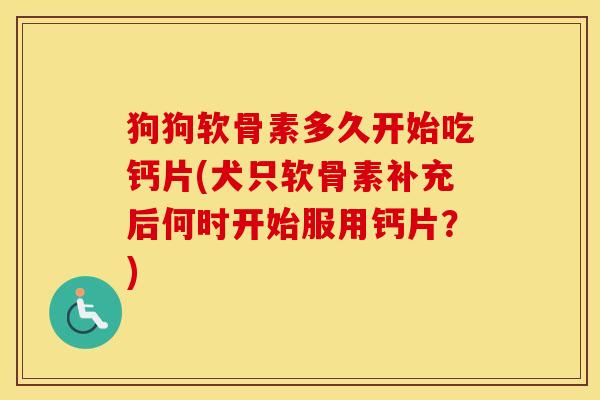 狗狗软骨素多久开始吃钙片(犬只软骨素补充后何时开始服用钙片?) 狗狗软骨素多久开始吃钙片(犬只软骨素补充后何时开始服用钙片?)