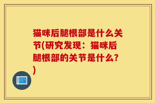 猫咪后腿根部是什么关节(研究发现:猫咪后腿根部的关节是什么?) 猫咪后腿根部是什么关节(研究发现:猫咪后腿根部的关节是什么?)